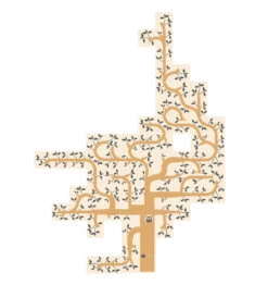 LONDJI Spel Dream A Tree 5 Jr+ -Beste Speelgoed Winkel LONDJIspeldreamatreeFG011d