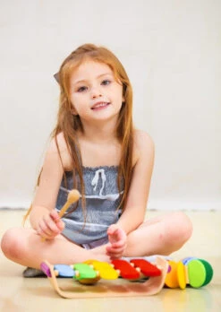 PLAN TOYS Xylofoon 1 Jr+ -Beste Speelgoed Winkel PLANTOYSxylofoon1jr 4006405