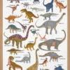 Poster Dinosaurus 50 X 70 Cm Barbara Dziadosz 2 Poster Dinosaurus 50 X 70 Cm Barbara Dziadosz -Beste Speelgoed Winkel PosterBarbaraDziadoszDinosaurs9999 0012779