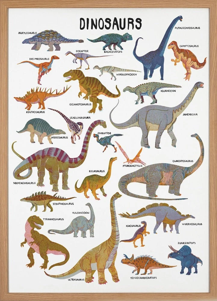 Poster Dinosaurus 50 X 70 Cm Barbara Dziadosz 3 Poster Dinosaurus 50 X 70 Cm Barbara Dziadosz