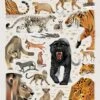 Dieter Braun Poster Big Cats 50 X 70 Cm -Beste Speelgoed Winkel dieter braun kinderposter grote katten 50 x 70 002