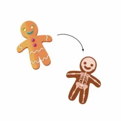 DJECO Stickers X-Rays -Beste Speelgoed Winkel dj09267.jpg3