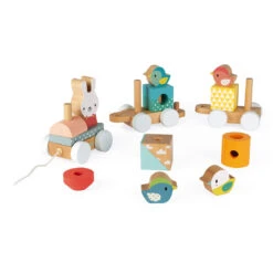 JANOD Trein Pure 1 Jr+ 14 JANOD Trein Pure 1 Jr+ -Beste Speelgoed Winkel janod trein pure 115157 f