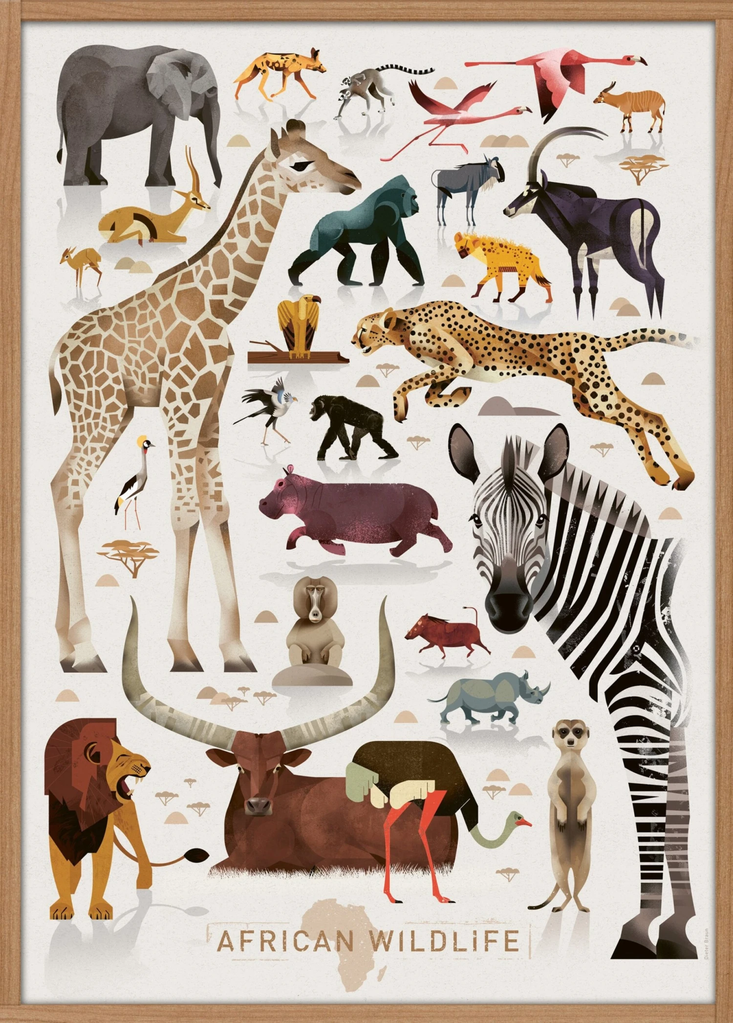 Dieter Braun Poster African Wildlife 50 X 70 Cm 4 Dieter Braun Poster African Wildlife 50 X 70 Cm - Afbeelding 2