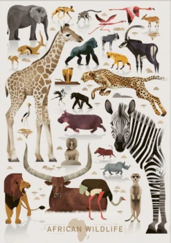 Dieter Braun Poster African Wildlife 50 X 70 Cm
