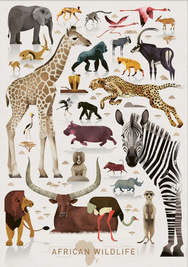 Dieter Braun Poster African Wildlife 50 X 70 Cm 3 Dieter Braun Poster African Wildlife 50 X 70 Cm