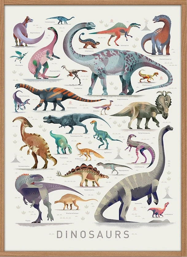 Dieter Braun Poster Dinosaurus 50 X 70 Cm 3 Dieter Braun Poster Dinosaurus 50 X 70 Cm
