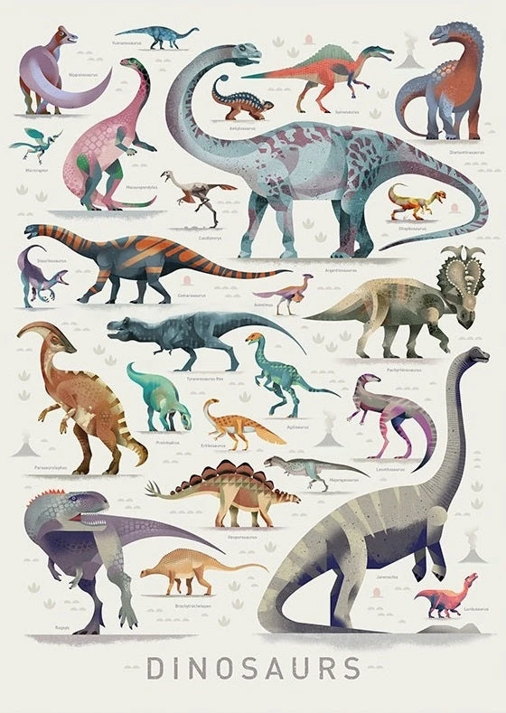 Dieter Braun Poster Dinosaurus 50 X 70 Cm 4 Dieter Braun Poster Dinosaurus 50 X 70 Cm - Afbeelding 2